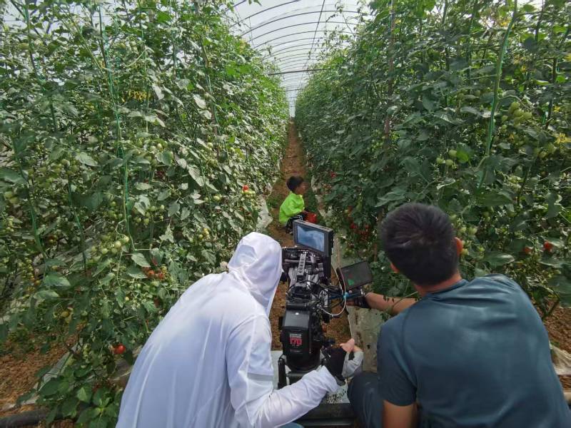 漾濞产品宣传视频拍摄公司进阶指南，助力品牌抢占传播高地